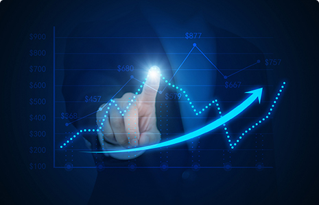 完善制度，规范流程，严格履行信息披露义务